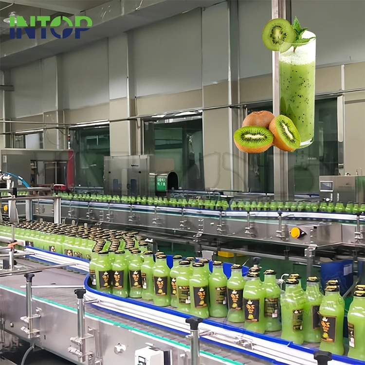 I-Kiwi Juice Production Line